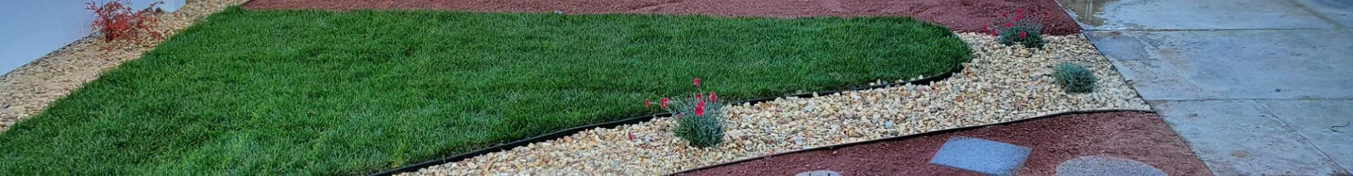Best Commercial Lawn Services Fresno, Clovis, Madera, Reedley