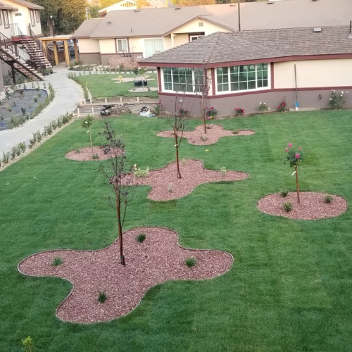 Trim Bushes Repairs Fresno, Clovis, Madera, Reedley